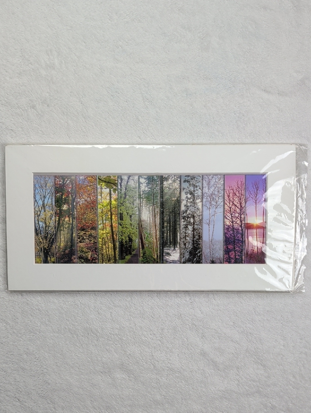 Beautiful Panoramic Art Print by Nova Scotia Photographer Stella McNeil